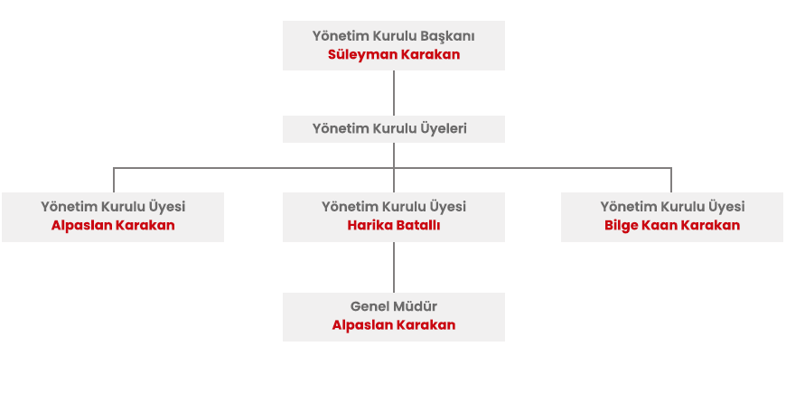 Organizasyon Şeması