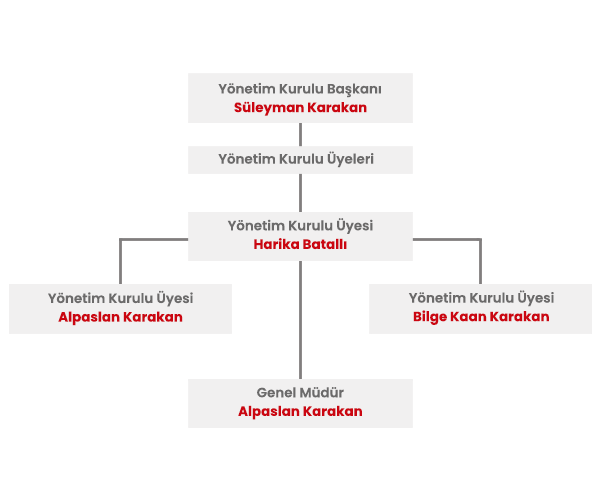 Organizasyon Şeması
