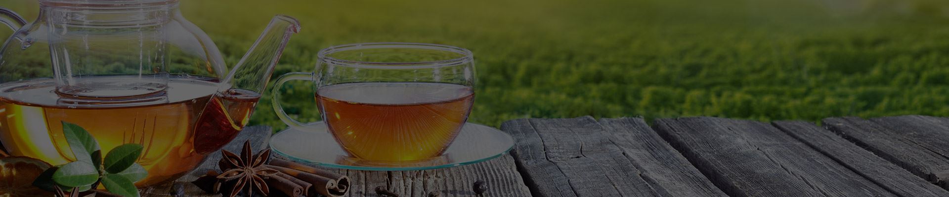 Bitki Çayları