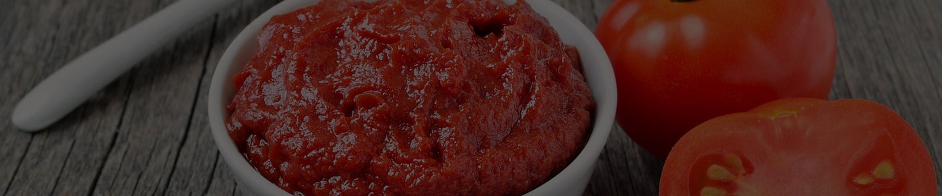 Doğuş Demko Salça