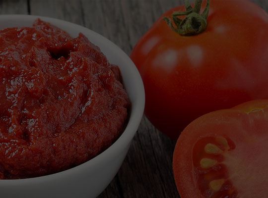 Doğuş Demko Salça